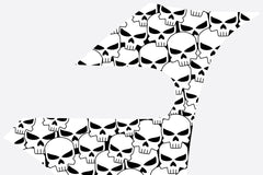 Mini Cooper (2007-2013) White Skulls on Black A-Panel Decal Kit - Exact Fit